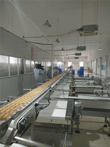 宜昌華爾食品公司榮獲食品示范企業(yè)稱號，引領(lǐng)餅干行業(yè)高質(zhì)量發(fā)展