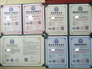 新鄉(xiāng)代辦環(huán)保節(jié)能產(chǎn)品及網(wǎng)絡文化經(jīng)營服務指南 流程與費用解析